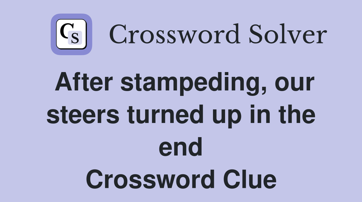 After stampeding, our steers turned up in the end Crossword Clue