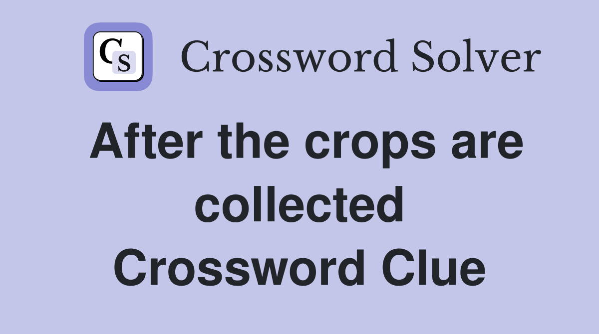 After the crops are collected Crossword Clue
