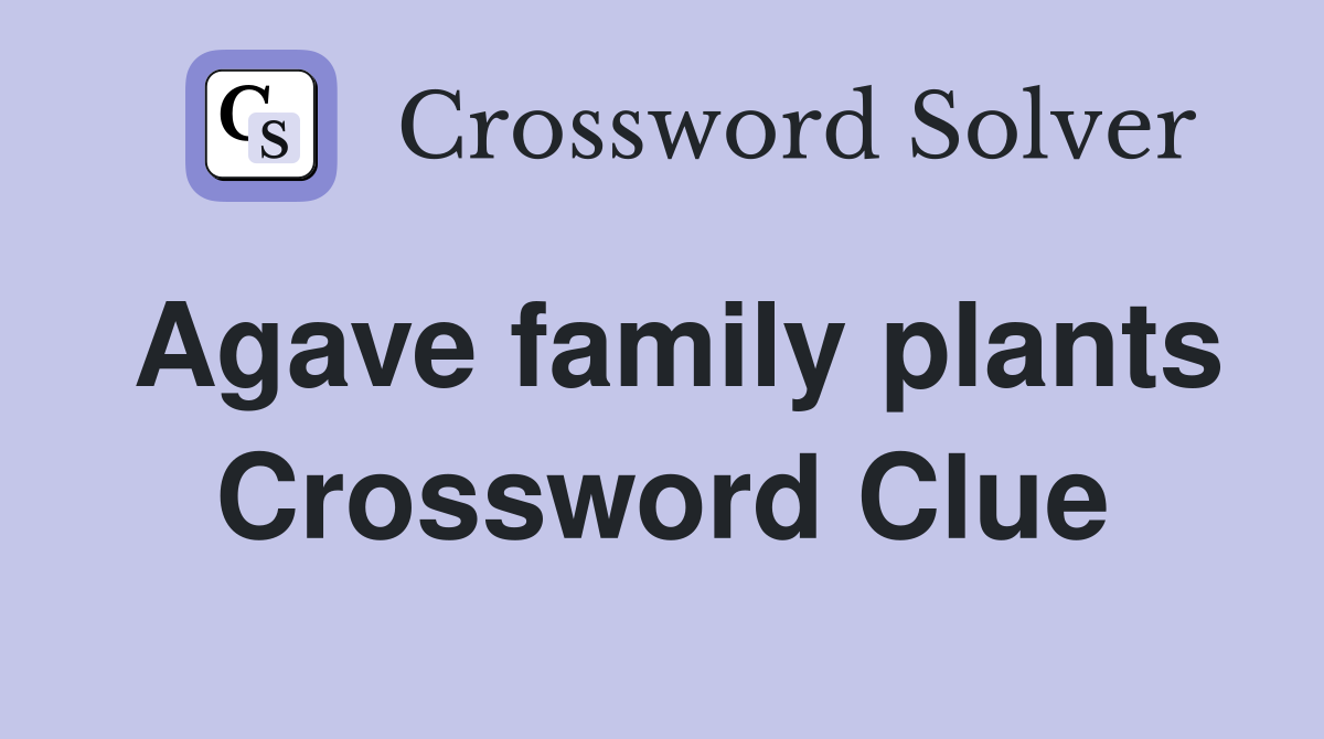 Agave family plants Crossword Clue
