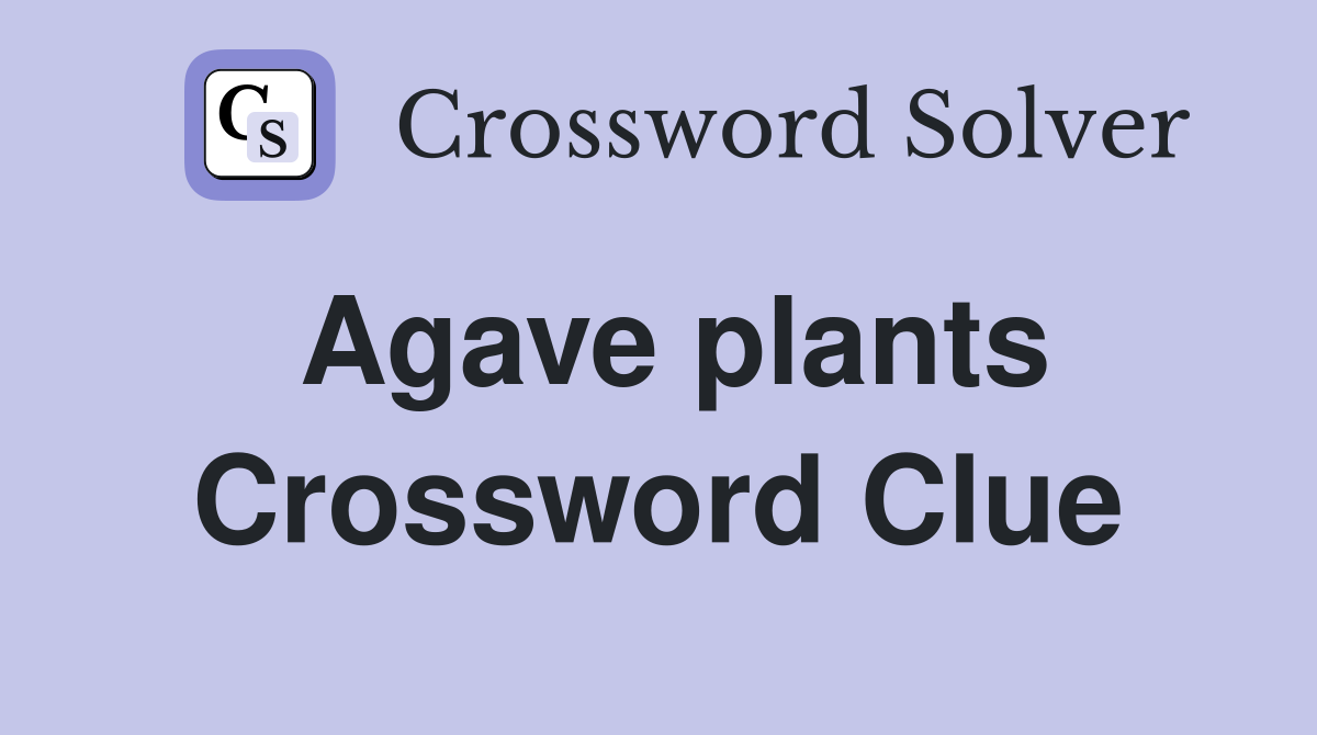 Agave plants Crossword Clue