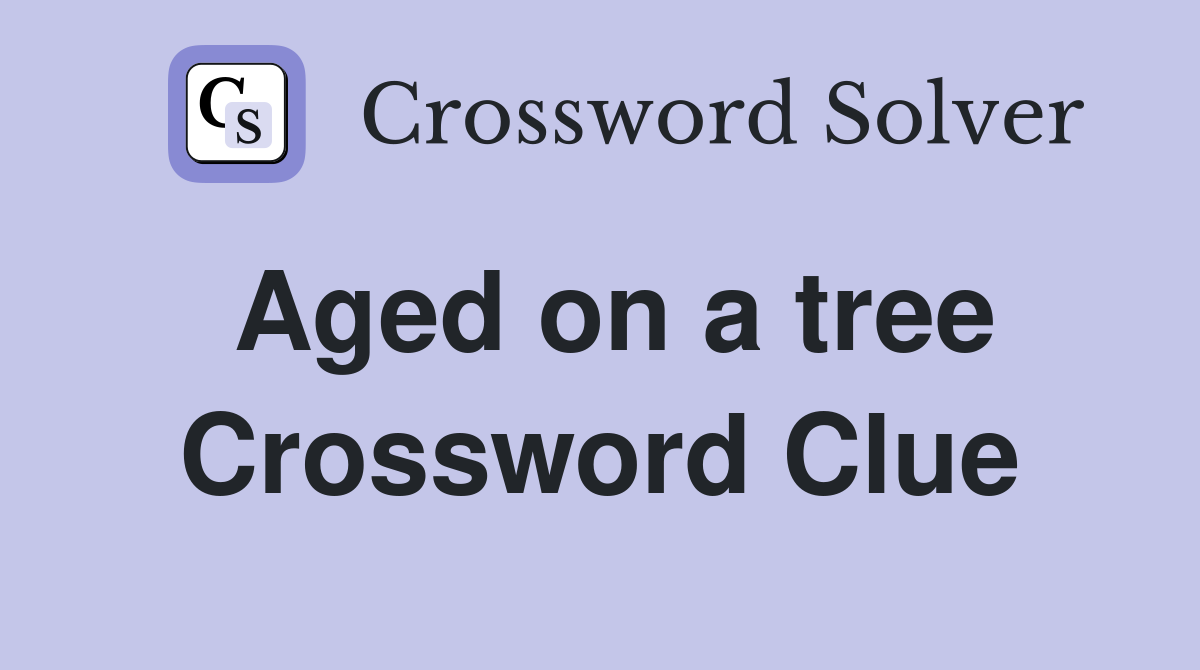 Aged on a tree Crossword Clue
