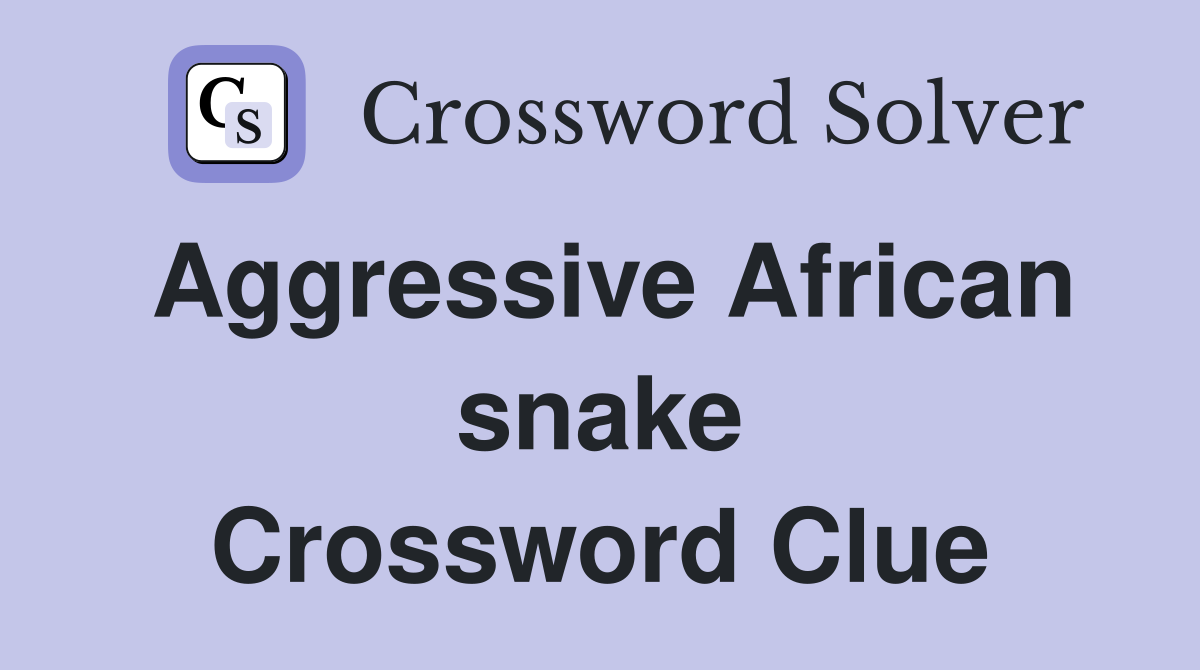 Aggressive African snake Crossword Clue