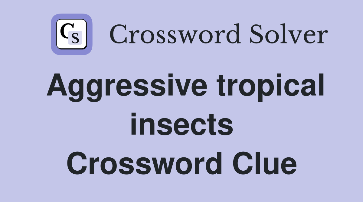 Aggressive tropical insects Crossword Clue