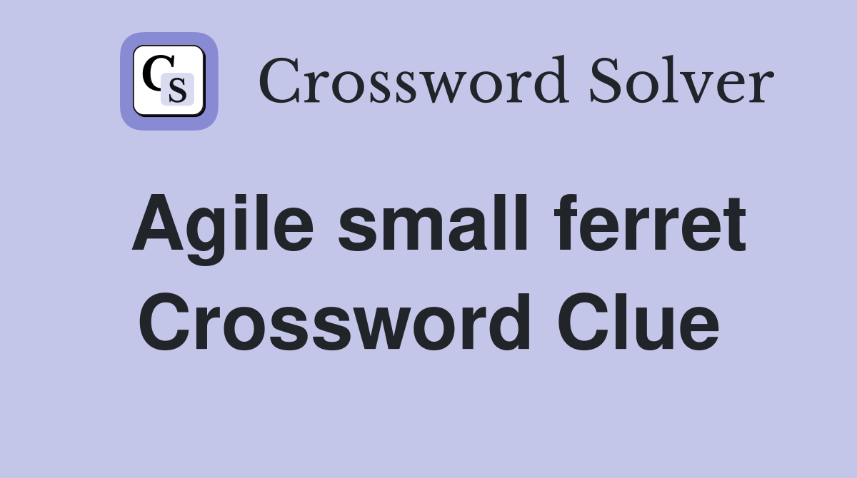Agile small ferret Crossword Clue