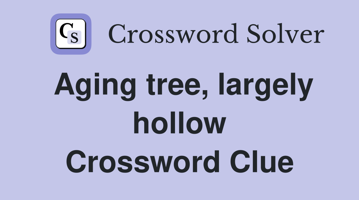 Aging tree, largely hollow Crossword Clue