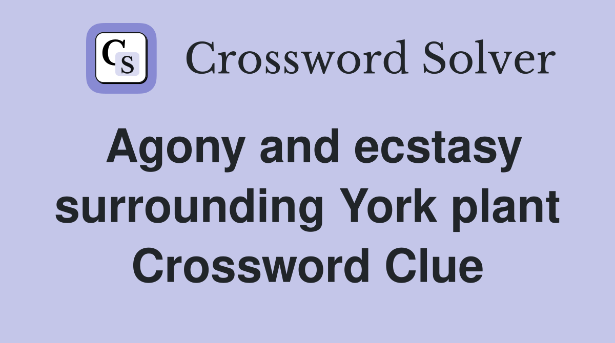 Agony and ecstasy surrounding York plant Crossword Clue