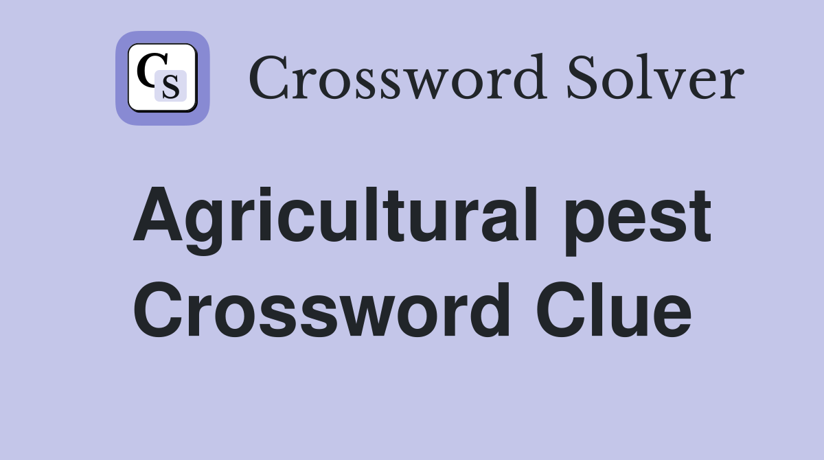 Agricultural pest Crossword Clue