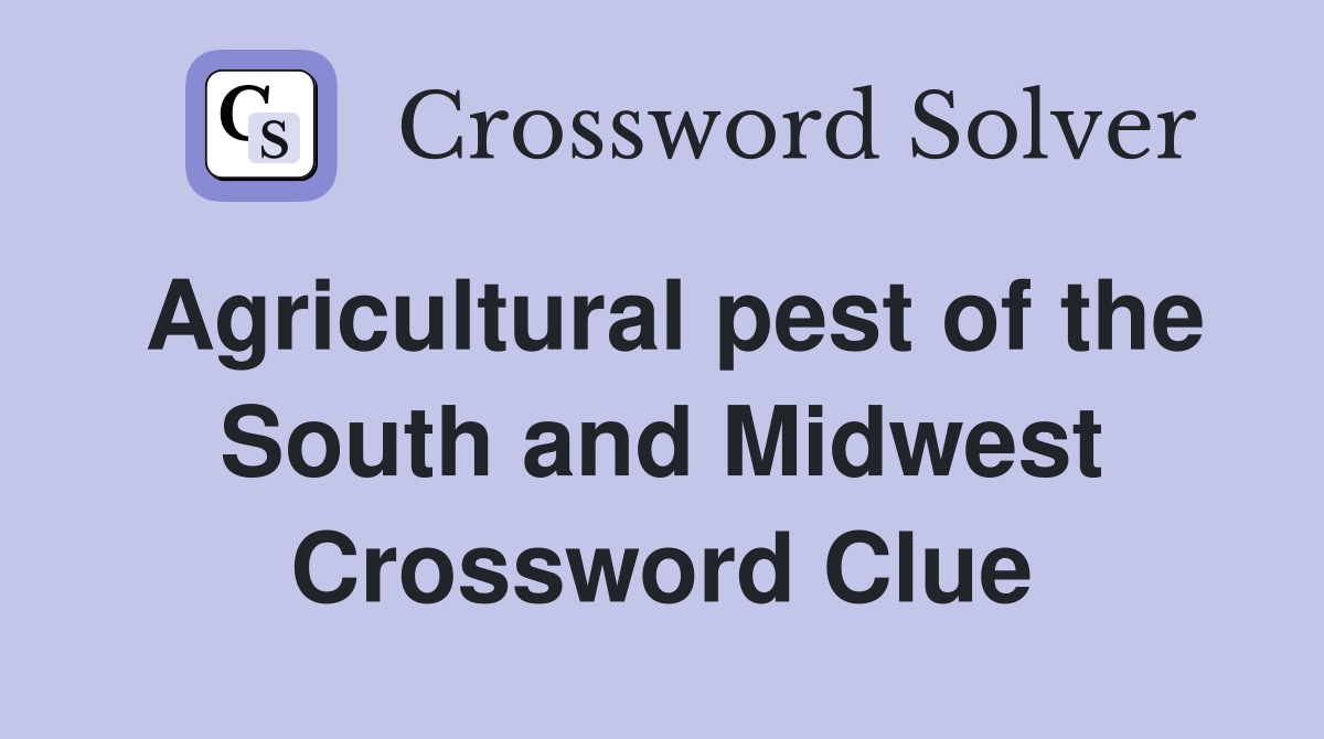 Agricultural pest of the South and Midwest Crossword Clue