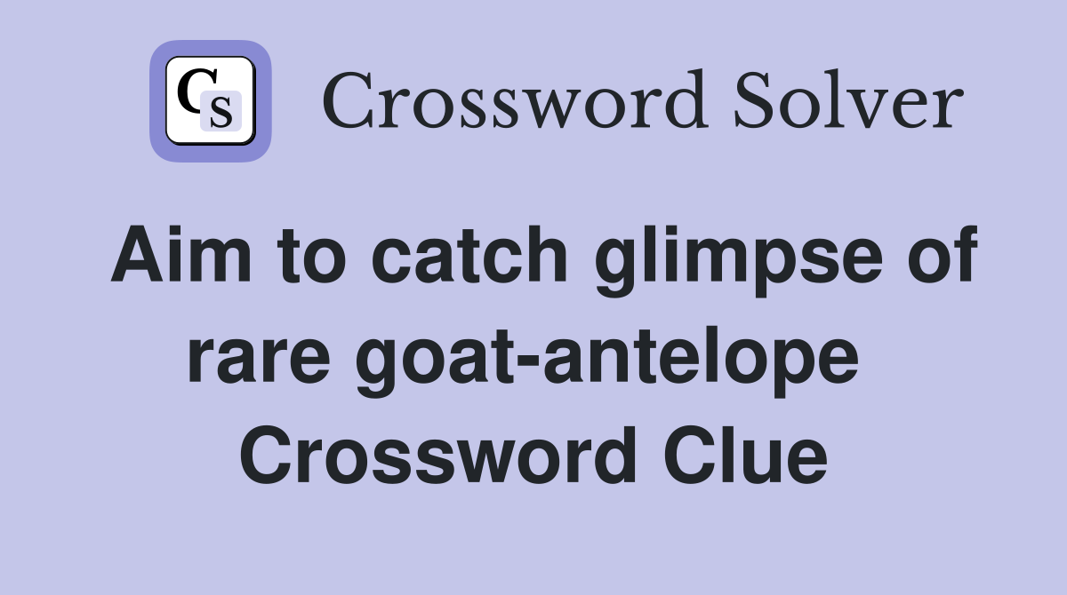 Aim to catch glimpse of rare goat-antelope  Crossword Clue