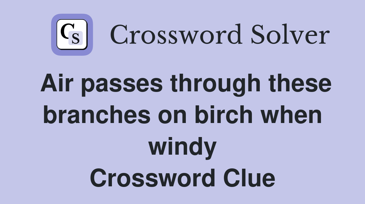 Air passes through these branches on birch when windy Crossword Clue