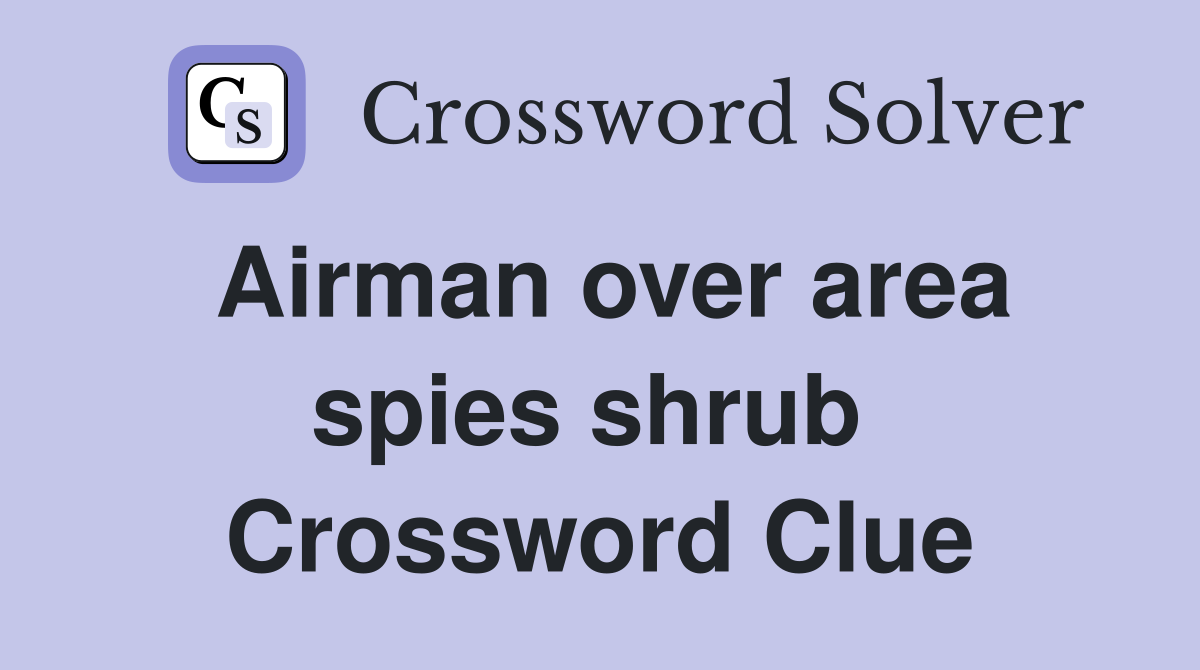 Airman over area spies shrub  Crossword Clue