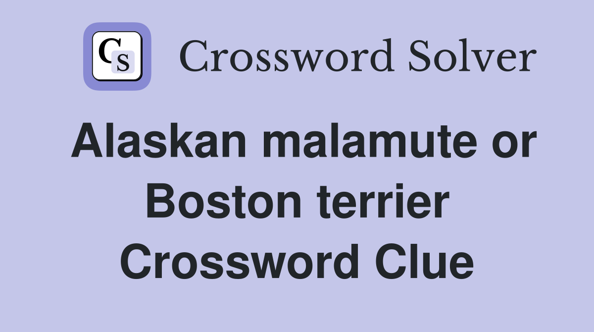 Alaskan malamute or Boston terrier Crossword Clue