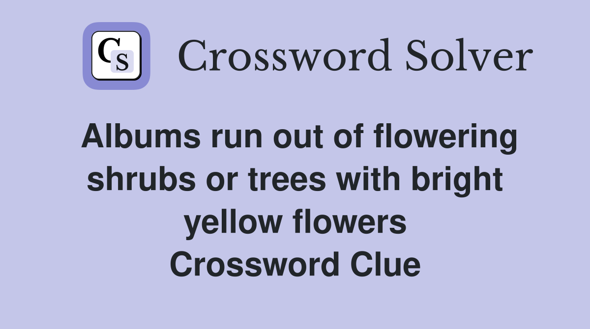 Albums run out of flowering shrubs or trees with bright yellow flowers Crossword Clue