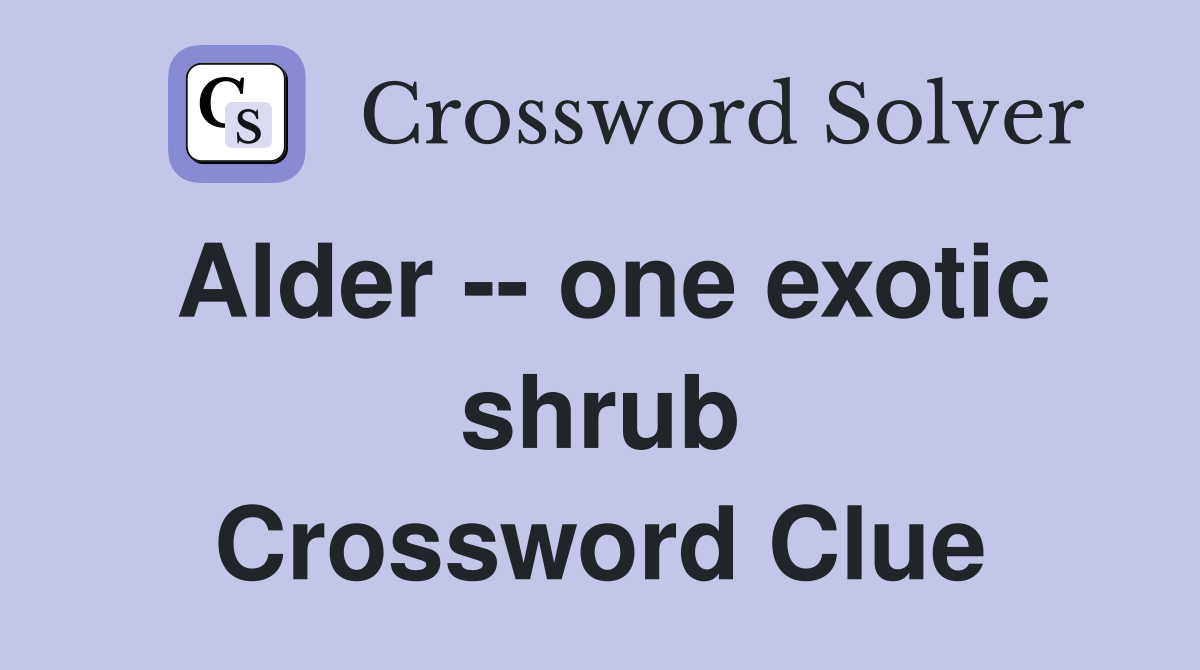 Alder -- one exotic shrub Crossword Clue