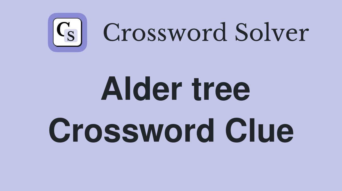 Alder tree Crossword Clue