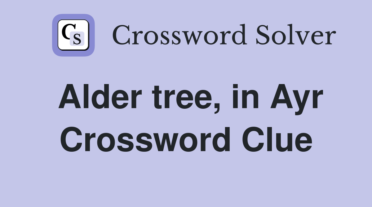 Alder tree, in Ayr Crossword Clue