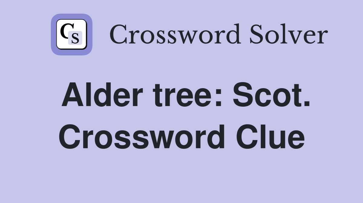 Alder tree: Scot. Crossword Clue