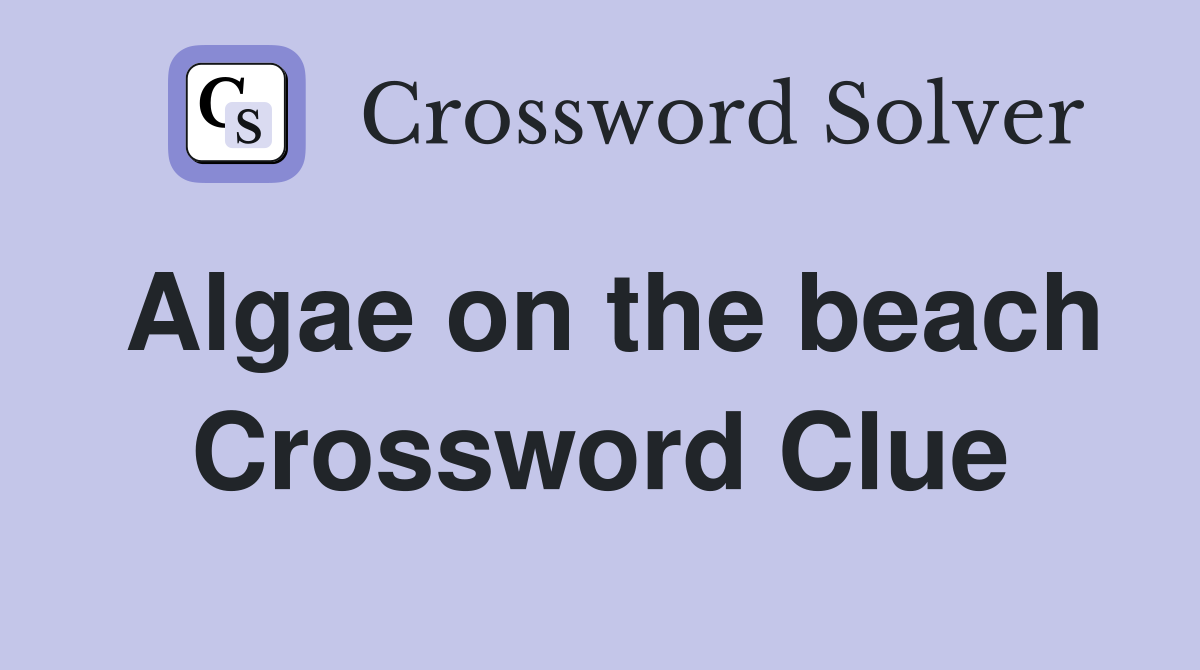 Algae on the beach Crossword Clue