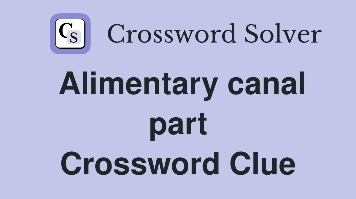 Alimentary canal part Crossword Clue