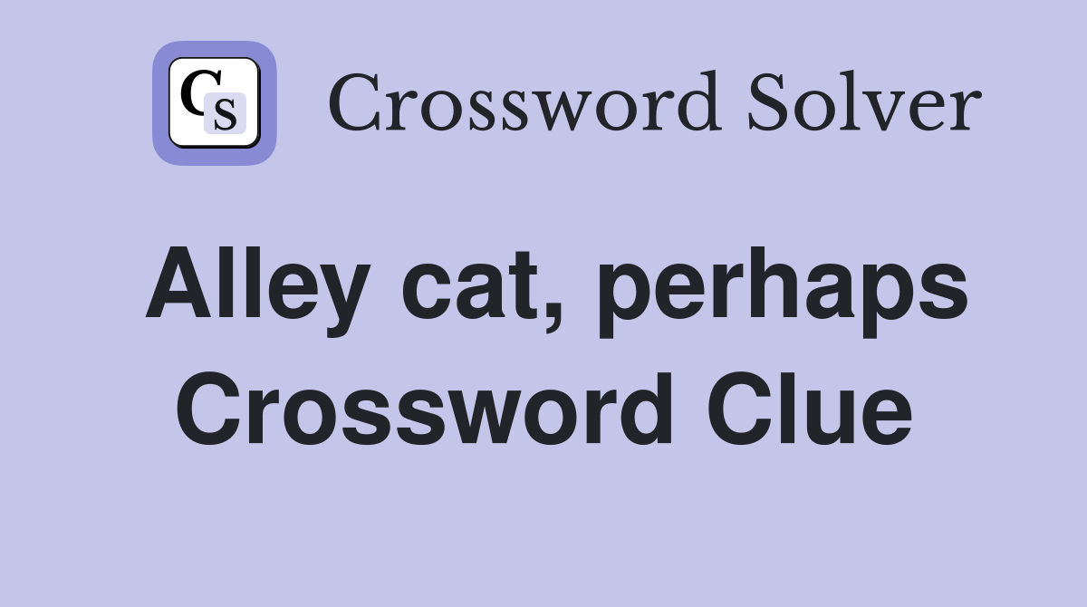 Alley cat, perhaps Crossword Clue