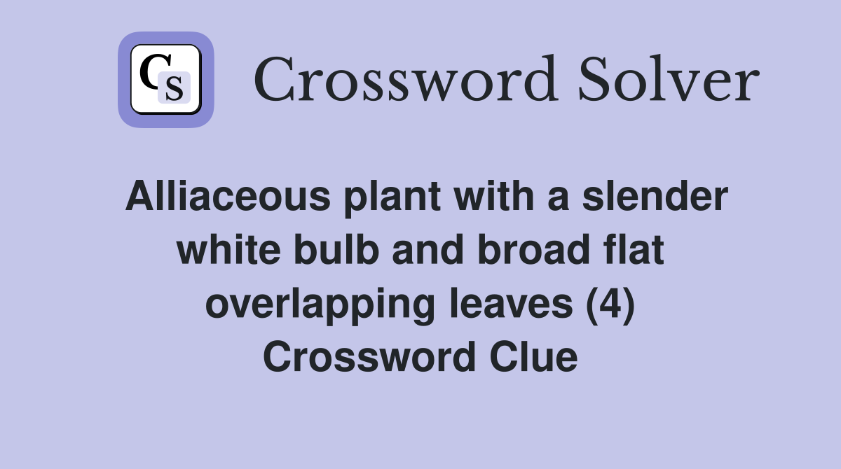 Alliaceous plant with a slender white bulb and broad flat overlapping leaves (4) Crossword Clue