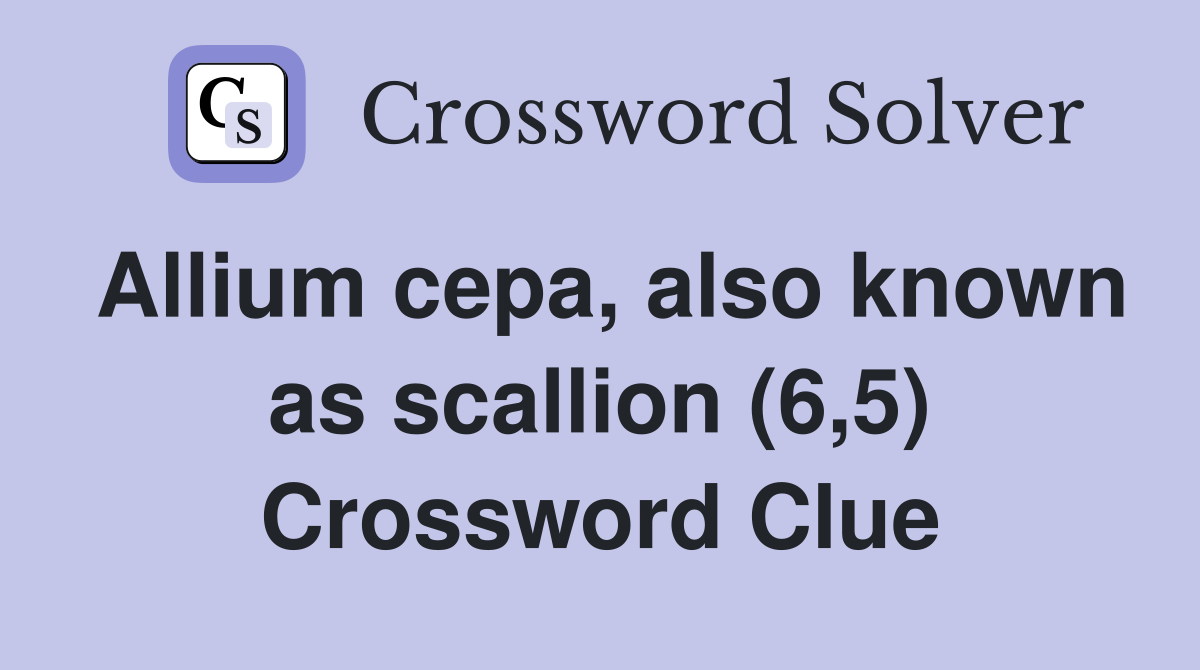 Allium cepa, also known as scallion (6,5) Crossword Clue