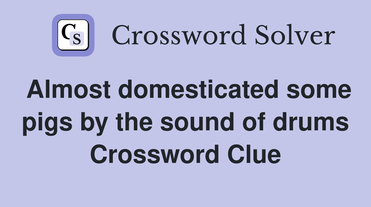 Almost domesticated some pigs by the sound of drums Crossword Clue