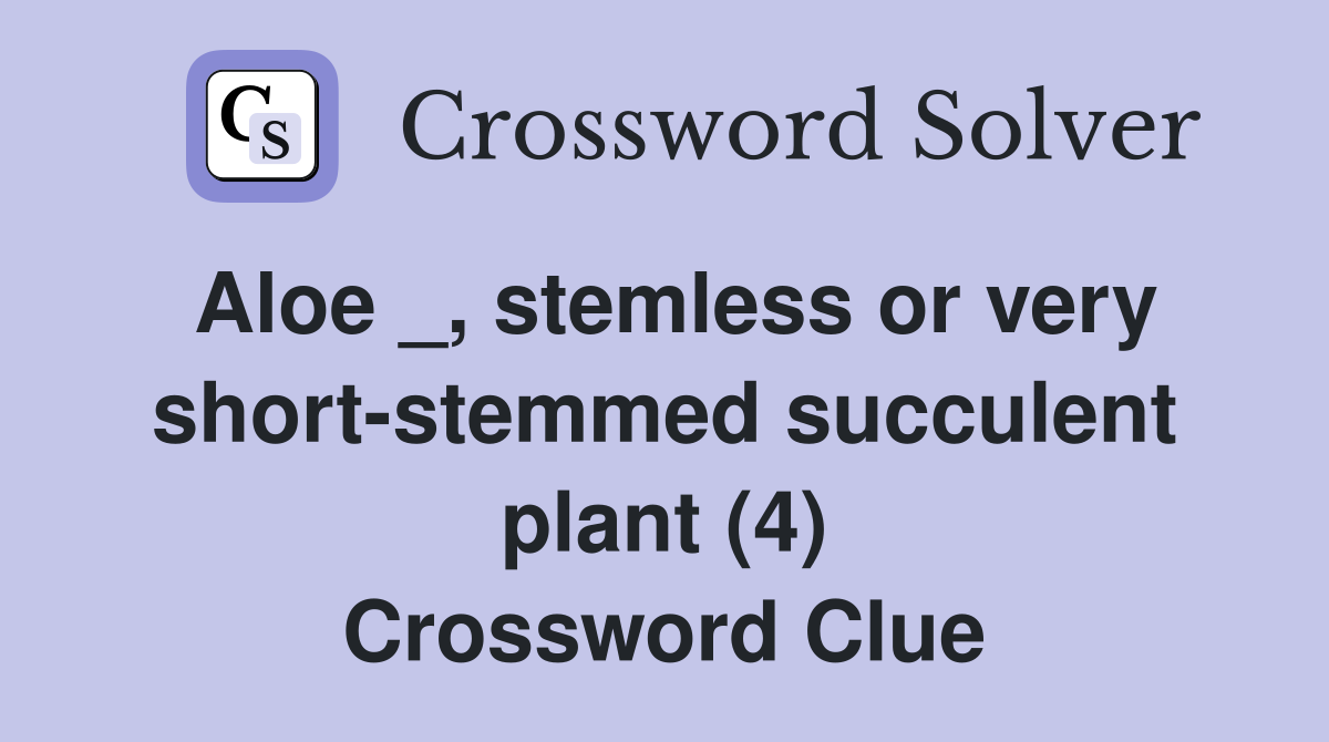 Aloe _, stemless or very short-stemmed succulent plant (4) Crossword Clue