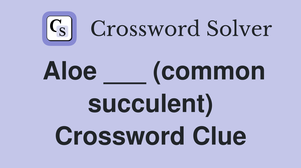 Aloe ___ (common succulent) Crossword Clue