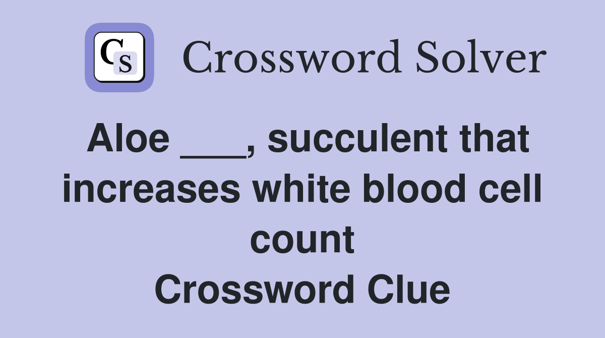 Aloe ___, succulent that increases white blood cell count Crossword Clue