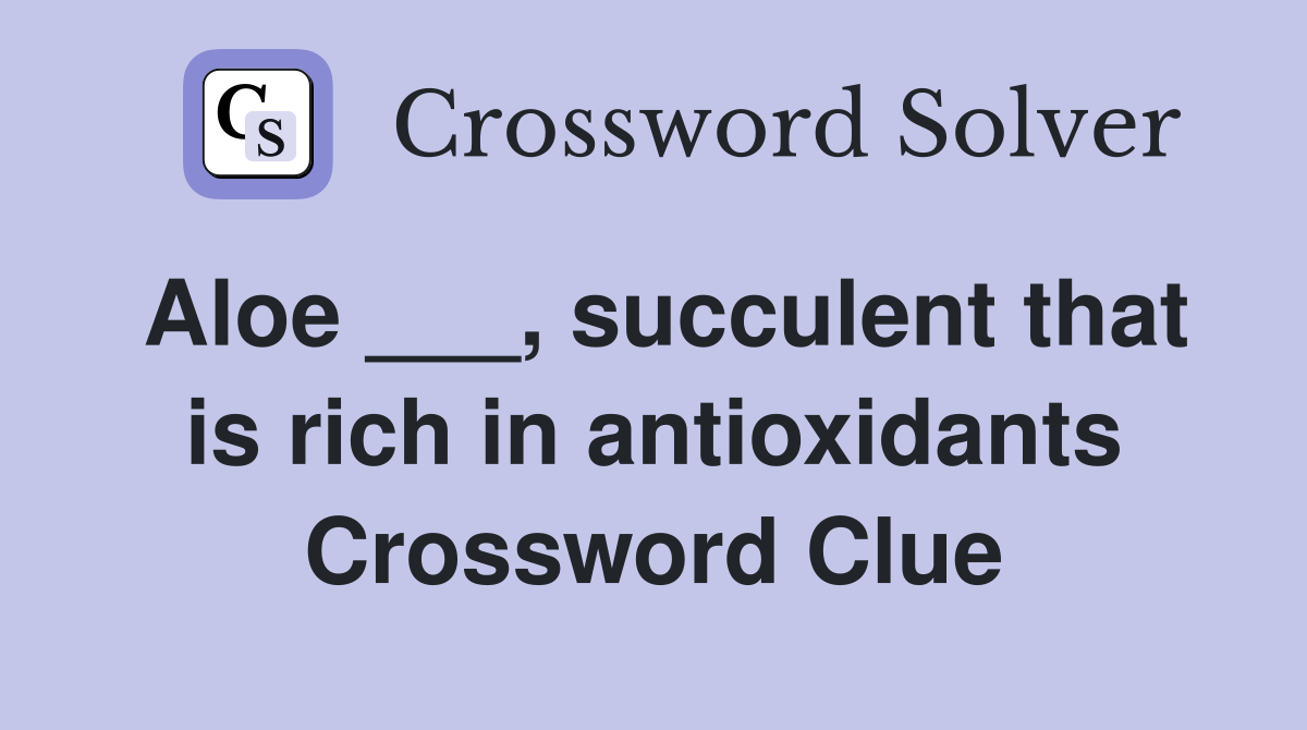 Aloe ___, succulent that is rich in antioxidants Crossword Clue