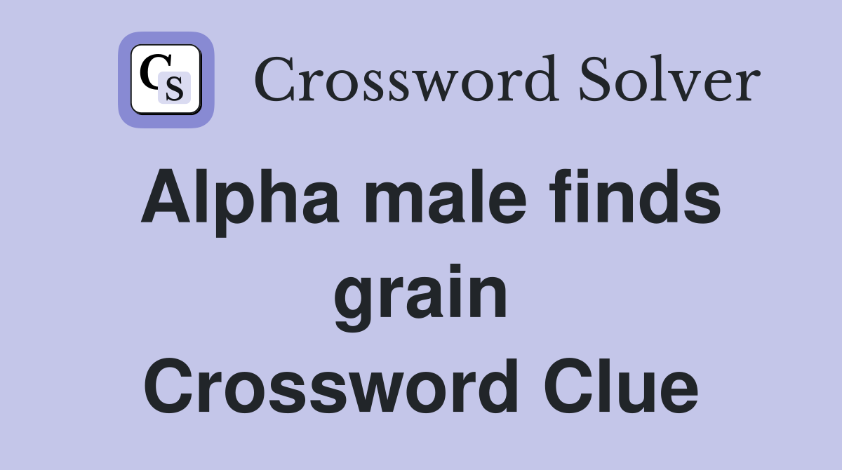Alpha male finds grain Crossword Clue