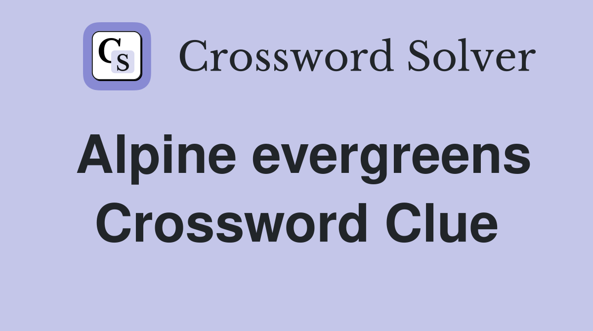 Alpine evergreens Crossword Clue