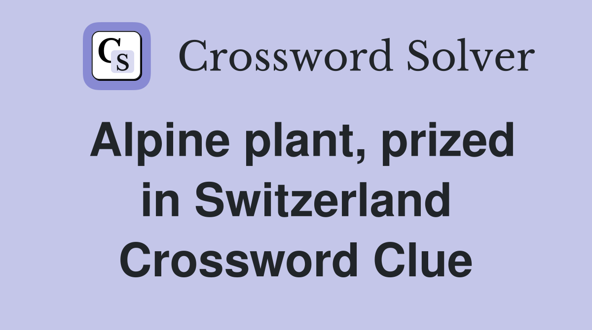 Alpine plant, prized in Switzerland Crossword Clue