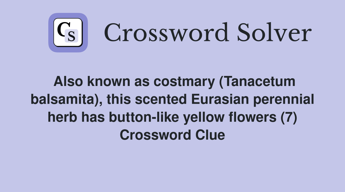 Also known as costmary (Tanacetum balsamita), this scented Eurasian perennial herb has button-like yellow flowers (7) Crossword Clue