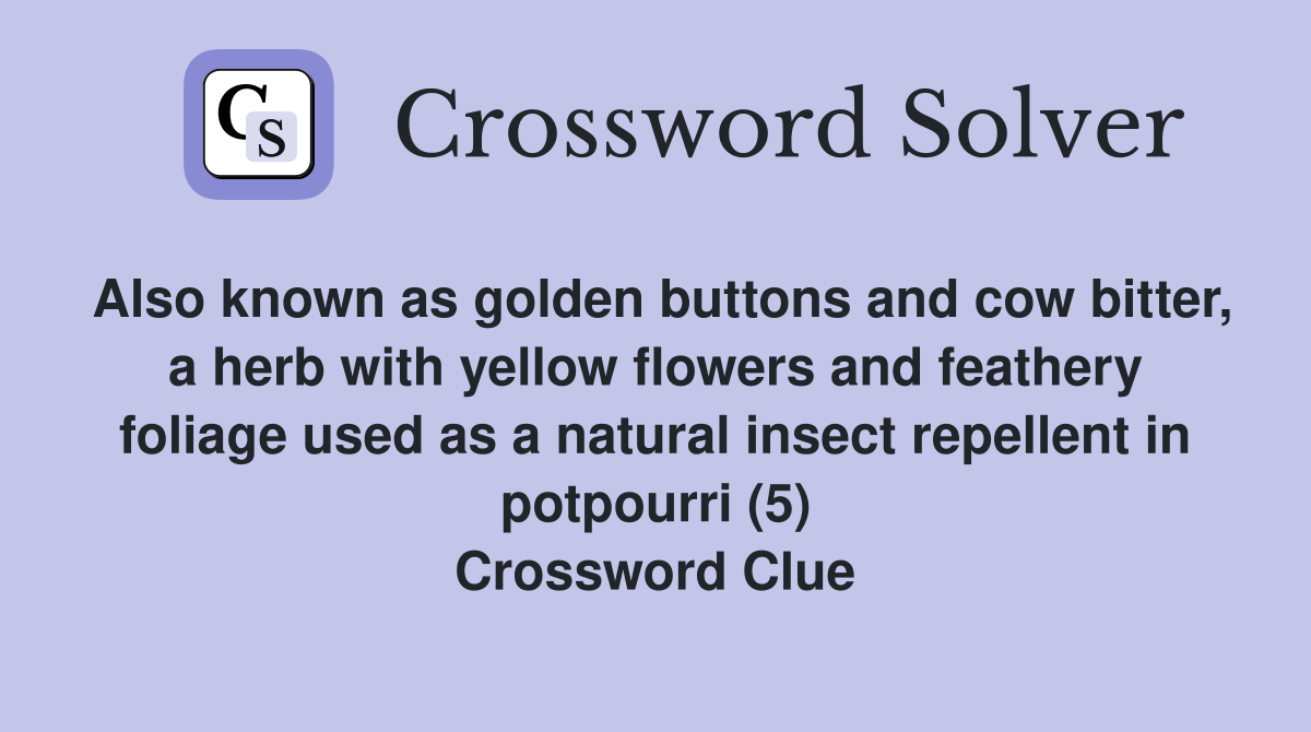 Also known as golden buttons and cow bitter, a herb with yellow flowers and feathery foliage used as a natural insect repellent in potpourri (5) Crossword Clue