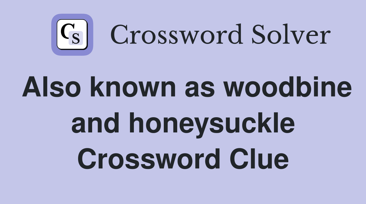 Also known as woodbine and honeysuckle Crossword Clue