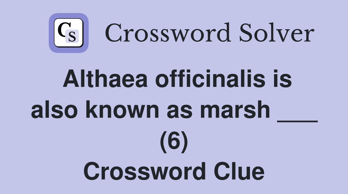 Althaea officinalis is also known as marsh ___ (6) Crossword Clue