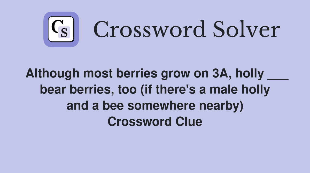 Although most berries grow on 3A, holly ___ bear berries, too (if there's a male holly and a bee somewhere nearby) Crossword Clue