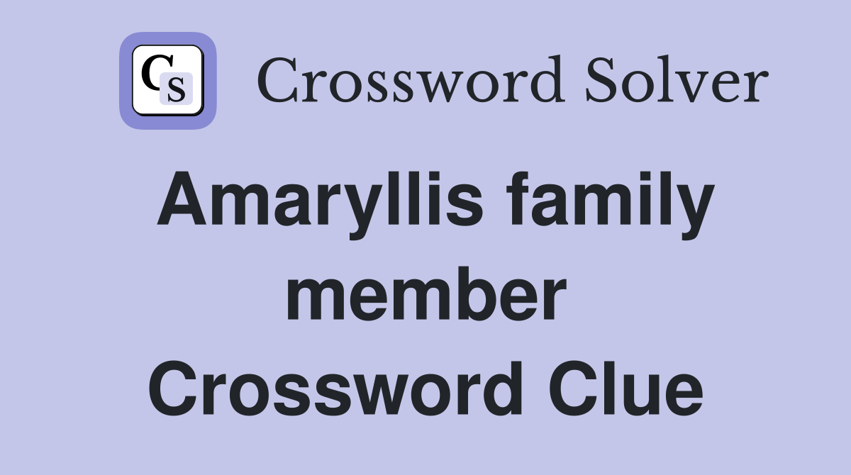 Amaryllis family member Crossword Clue