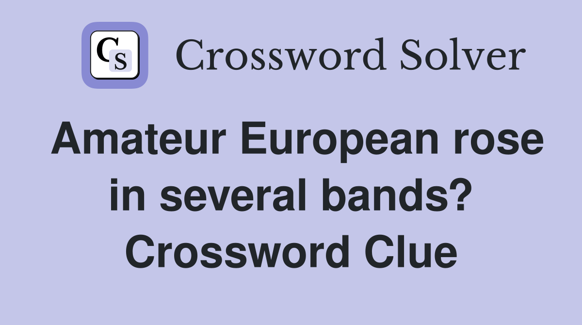 Amateur European rose in several bands? Crossword Clue