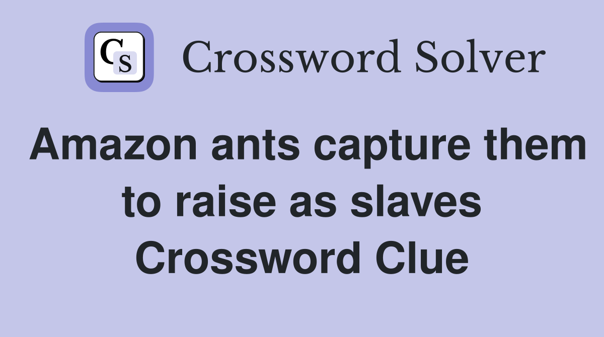 Amazon ants capture them to raise as slaves Crossword Clue