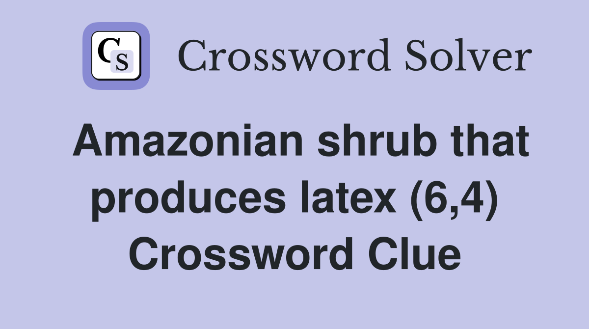Amazonian shrub that produces latex (6,4) Crossword Clue