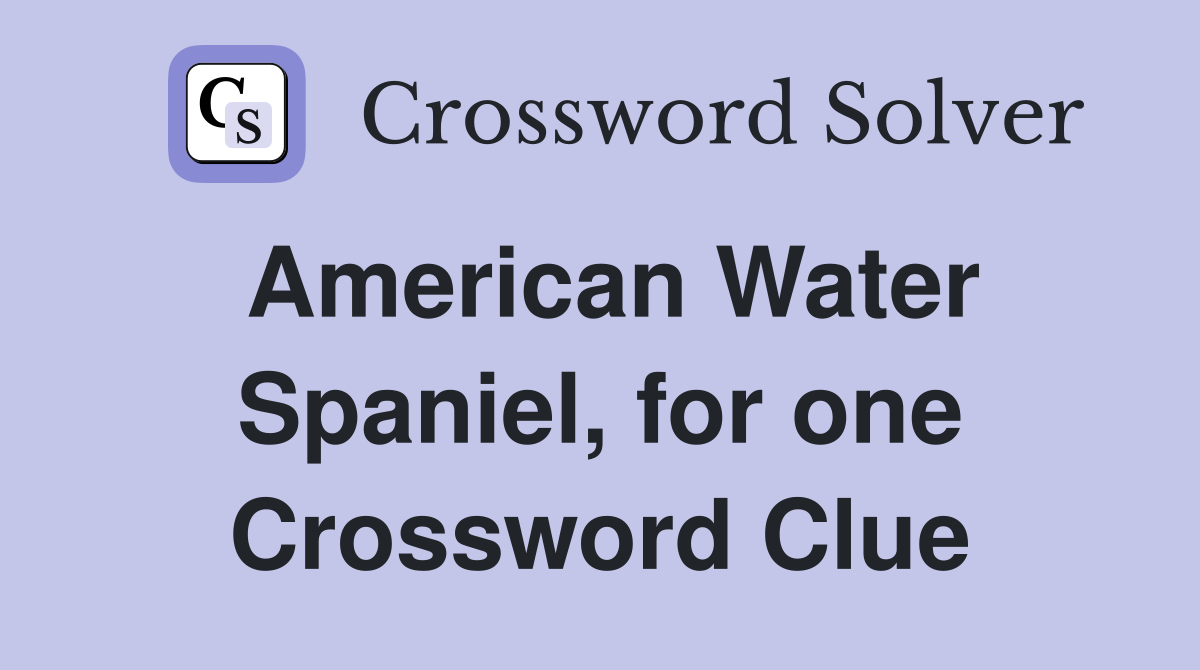 American Water Spaniel, for one Crossword Clue