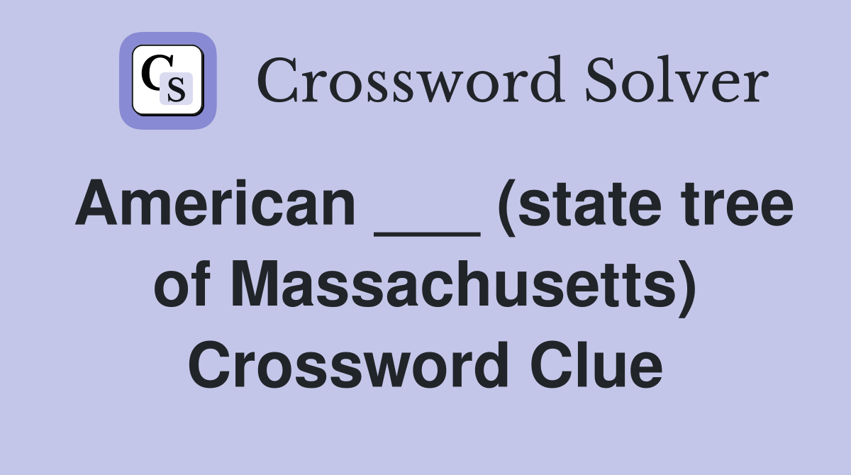 American ___ (state tree of Massachusetts) Crossword Clue