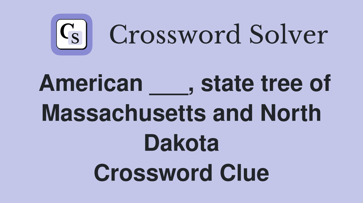 American ___, state tree of Massachusetts and North Dakota Crossword Clue