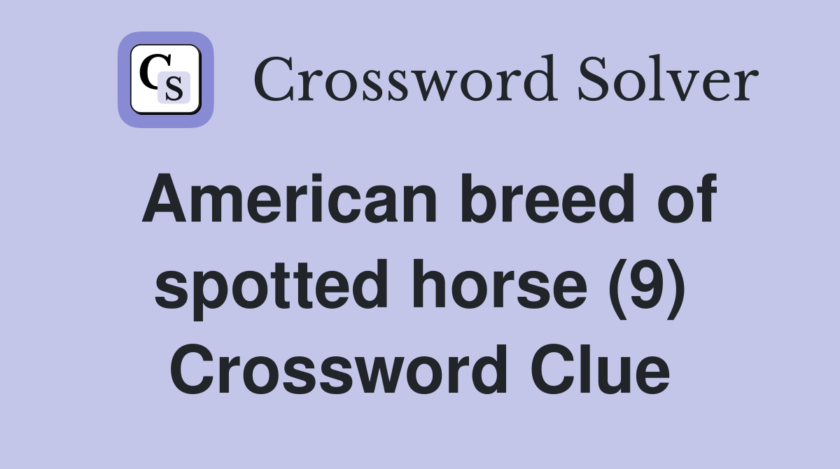 American breed of spotted horse (9) Crossword Clue