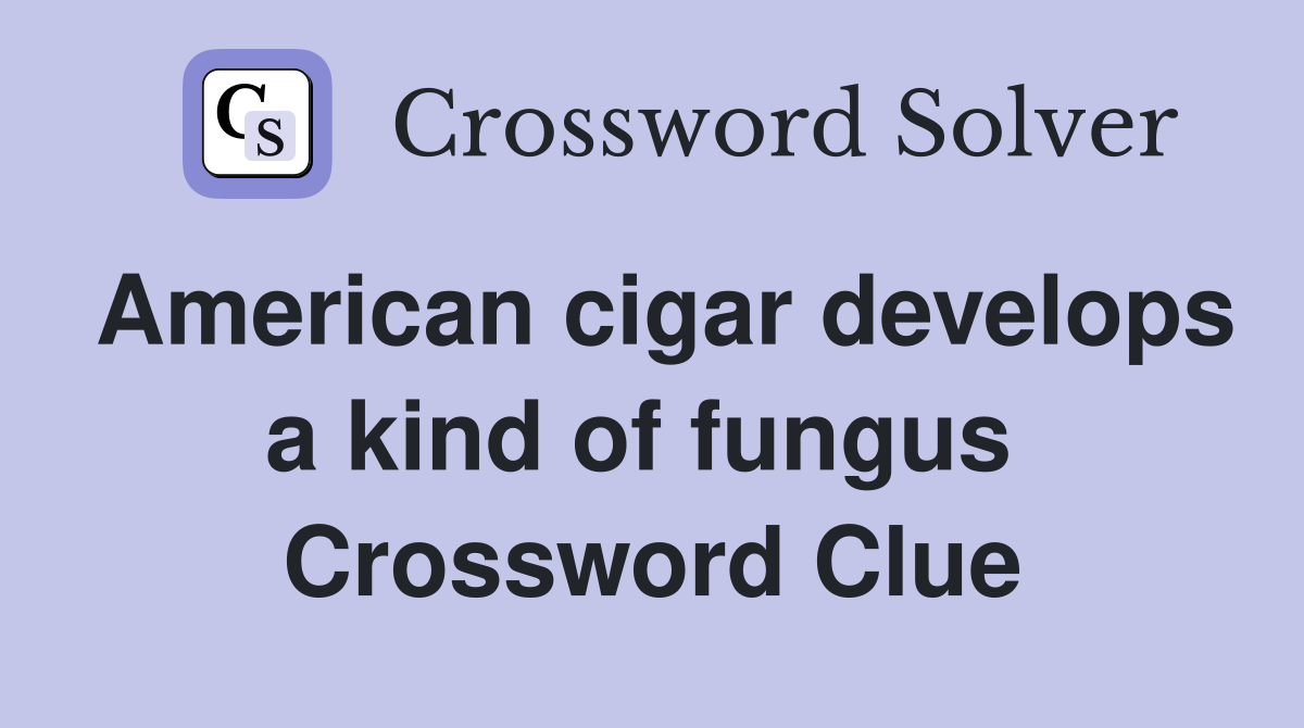 American cigar develops a kind of fungus  Crossword Clue