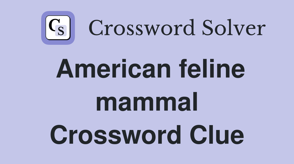American feline mammal Crossword Clue