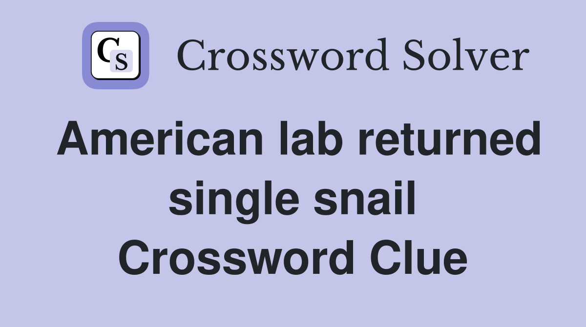 American lab returned single snail Crossword Clue